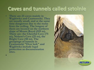 • There are 23 caves mainly in
Węglówka and Czarnorzeki. They
are usually small, and at the same
time dangerous due to the rocks
from the ceiling. The longest of
them are located on the northern
slope of Mount Royal (559 m).
There are: the Cheerful Cave (75
m), Nelson’s Cave (25 m), the
Bright Cave (50 m). The
groupings of tunnels in
Czarnorzeki "Over lurk" and
Węglówka include legal
protection as documentation
sites.
•  
RETURN
 