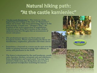 • "At the castle Kamieniec". The route is a loop,
beginning and ending at the ruins of “Kamieniec”.
There are 6 stops. The most interesting objects in the
path include: a small cave " Dragon's Den", the
position of the active protection of amphibians,
collective grave from 1831 (victims of the cholera
epidemic) and five Douglas firs as monuments of
nature and pines.
• The predominant species are Scots pines and
European larches. Plants representing the fleece are
blackberries, raspberries, pistachio and white clover.
• Sometimes, a buzzard or a raven can be seen over the
fields or passing buzzard soaring high ordinary or
raven, and pheasants in the fields. 
• The forest is dominated by firs and hornbeam, sessile
oaks, beeches, birches, mountain ash and elderberry,
ferns, blackberries and wood sorrel. You may have
noticed a birds nest, jays flying from tree to tree, a
great spotted woodpecker searching for insects.
RETURN
 