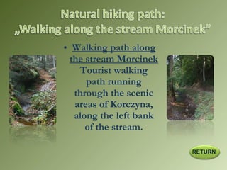 • Walking path along
the stream Morcinek
Tourist walking
path running
through the scenic
areas of Korczyna,
along the left bank
of the stream.
RETURN
 