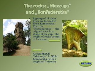 • A group of 15 rocks.
They are located in
Wola Komborska.
There is
"Konfederatka" – the
original rock in a
shape of the cap. The
height of rocks comes
to 7 meters.
• A rock MACE
"Maczuga" in Wola
Komborska (with a
height of 7 meters).
RETURN
 