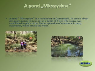 • A pond " Mieczyslaw" is a monument in Czarnorzeki. Its area is about
25 square meters (5 m x 5 m) at a depth of 8 feet! The source was
established in place of the former operation of sandstone in deep
excavation, which struck the water.
•  
•  
RETURN
 