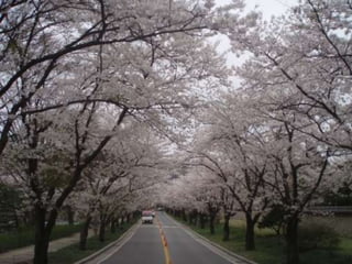 Presentation on Korea