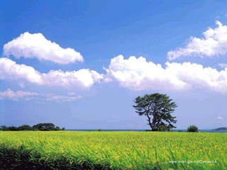 Presentation on Korea