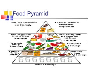 Food Pyramid
 