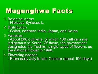 Mugunghwa FactsMugunghwa Facts
1.1. Botanical nameBotanical name
- Hibiscus Syriacus L.- Hibiscus Syriacus L.
2.2. DistributionDistribution
- China, northern India, Japan, and Korea- China, northern India, Japan, and Korea
3.3. VarietiesVarieties
- About 200 cultivars, of which 100 cultivars are- About 200 cultivars, of which 100 cultivars are
indigenous to Korea. Of these, the governmentindigenous to Korea. Of these, the government
designated the Tashim, single types of flowers, asdesignated the Tashim, single types of flowers, as
the national flower in 1990.the national flower in 1990.
4.4. Flowering seasonFlowering season
- From early July to late October (about 100 days)- From early July to late October (about 100 days)
 