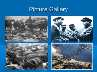 Picture GalleryPicture Gallery
 