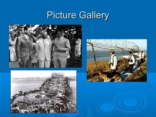 Picture GalleryPicture Gallery
 