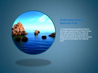 Dadohaehaesang
National Park

The Dadohaehaesang National Park is
the largest national park in South Korea.
The main attractions of this national
park are the amazing sunset,diverse
plants and flowers as well as the ancient
mysteries surrounding this national
park.
 