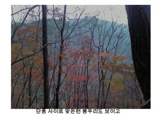 단풍 사이로 맞은편 봉우리도 보이고