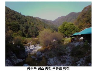 용수목 버스 종점 부근의 정경