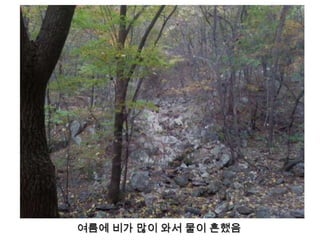 여름에 비가 많이 와서 물이 흔했음