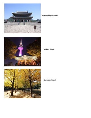 Gyeongbokgung palace
N Seoul Tower
Namiseom Island
 