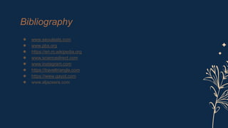 Bibliography
● www.seouleats.com
● www.pbs.org
● https://en.m.wikipedia.org
● www.sciencedirect.com
● www.instagram.com
● https://traveltriangle.com
● https://www.gayot.com
● www.aljazeera.com
 