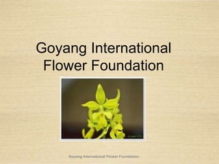 Goyang International
Flower Foundation
Goyang International Flower Foundation
 
