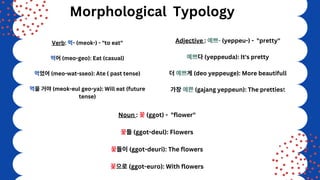 Morphological Typology
Verb: 먹- (meok-) - "to eat"
먹어(meo-geo): Eat (casual)
먹었어(meo-wat-sseo): Ate ( past tense)
먹을거야(meok-eul geo-ya): Will eat (future
tense)
Adjective : 예쁘- (yeppeu-) - "pretty"
예쁘다(yeppeuda): It's pretty
더예쁘게(deo yeppeuge): More beautifull
가장예쁜(gajang yeppeun): The prettiest
Noun : 꽃(ggot) - "flower"
꽃들(ggot-deul): Flowers
꽃들이(ggot-deuri): The flowers
꽃으로(ggot-euro): With flowers
 