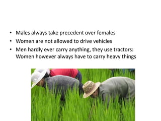 • Males always take precedent over females
• Women are not allowed to drive vehicles
• Men hardly ever carry anything, they use tractors:
Women however always have to carry heavy things
 