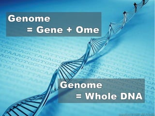 Genome       = Gene + OmeGenome      = Whole DNA