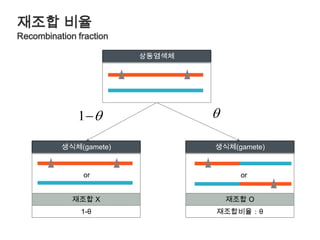 재조합비율Recombination fraction상동염색체생식체(gamete)생식체(gamete)oror재조합 O재조합 X1-θ재조합비율：θ