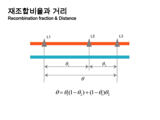 재조합비율과거리Recombination fraction & DistanceL2L3L1