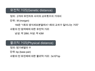유전적거리(Genetic distance)정의: 2개의유전자좌사이의교차횟수의기대치단위 : M (morgan)1M은“1회의생식세포분열에서 1회의교차가일어나는거리”사람의전염색체에대한유전적거리남성: 약 28M, 여성: 약 43M물리적거리(Physical distance)정의: 염기배열의수단위: bp (base pair)사람의전유전체에대한물리적거리 : 3x109 bp