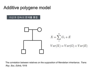 Battle Round 1다양성은 연속형생물계측학은 실험결과와 불일치BatesonGenetics(1905)K. PearsonJohannsenGene (1909)Weldon생물계측학파멘델학파