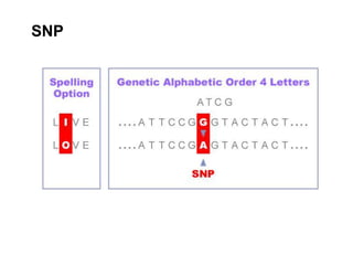 Additive polygene model이산과 연속의 문제를 통합The correlation between relatives on the supposition of Mendelian inheritance.Trans. Roy. Soc, Edinb, 1918