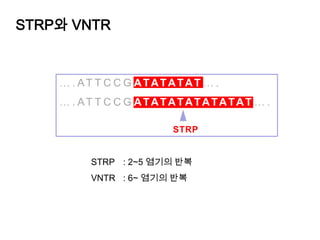 Battle Round 3E. PearsonR.A. Fisher Neyman-Pearson’s lemmaAlternative hypothesisThe most powerful testConfidence intervalOnly null hypothesisFiducial intervalJ. Neyman