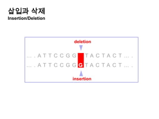 잘못된 유전학우생학（eugenics）유전적으로 뒤떨어진 개인을 배제- Galton , K. Pearson, R.A Fisher- Adolf Hitler (1931)“유전적 결함이 있는 자손 억제를 위한 법”Lysenko주의스탈린 시대유전적으로는 모두 평등하며, 노력에 의해 형질은 변화