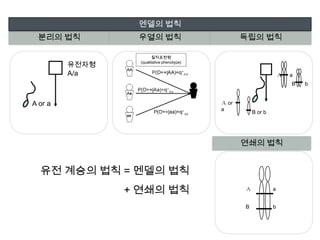 유전체의0.1%가개인의 차이를 결정