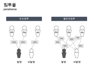  VNTR(variable number of tandem repeat)