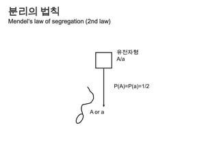  Insertion / DeletionSNP