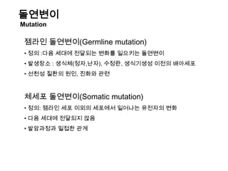 (유전자좌)(우성대립형질)(열성대립형질)(유전자형)