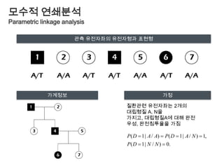 ＡaBbＡ or aB or b독립의 법칙Mendel's law of independent assortment (3rd law)유전자형A/a  B/bAB, Ab, aB, ab
