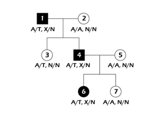 연쇄(독립 법칙의 예외)linkage재조합 비율recombination fraction연사와 재조합유전자좌 1유전자좌 2