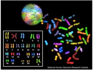 TextNational Human Genome Research Institute