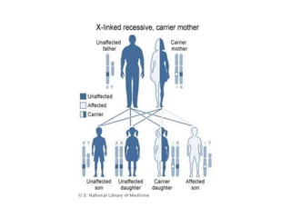 가계정보가 있는 집단가계의 상세한 정보를 알 수 있다면연쇄분석(linkage analysis)에 의해 정확한 분석이 가능