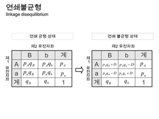 상대위험률오즈비