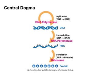 Central Dogmahttp://en.wikipedia.org/wiki/Central_dogma_of_molecular_biology
