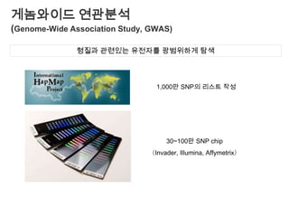 Haplotype과 연쇄불균형