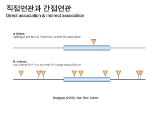 SNP에서Haplotype으로