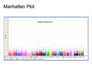2n개의 haplotypen 명