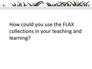 How could you use the FLAX
collections in your teaching and
learning?
 