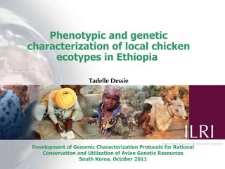 Phenotypic and genetic characterization of local chicken ecotypes in Ethiopia   Tadelle Dessie Development of Genomic Characterization Protocols for Rational Conservation and Utilization of Avian Genetic Resources South Korea, October 2011 