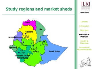 Phenotypic and genetic characterization of local chicken ecotypes in Ethiopia 