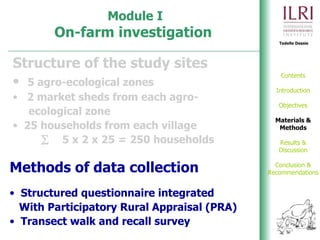 Phenotypic and genetic characterization of local chicken ecotypes in Ethiopia 