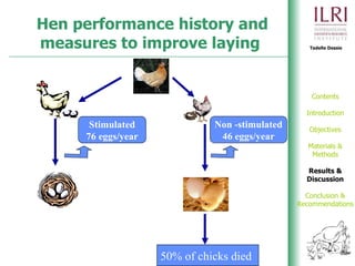 Phenotypic and genetic characterization of local chicken ecotypes in Ethiopia 