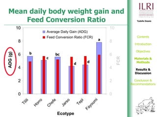 Phenotypic and genetic characterization of local chicken ecotypes in Ethiopia 