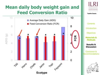 Phenotypic and genetic characterization of local chicken ecotypes in Ethiopia 