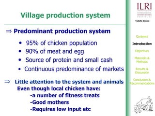 Phenotypic and genetic characterization of local chicken ecotypes in Ethiopia 
