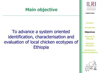 Phenotypic and genetic characterization of local chicken ecotypes in Ethiopia 
